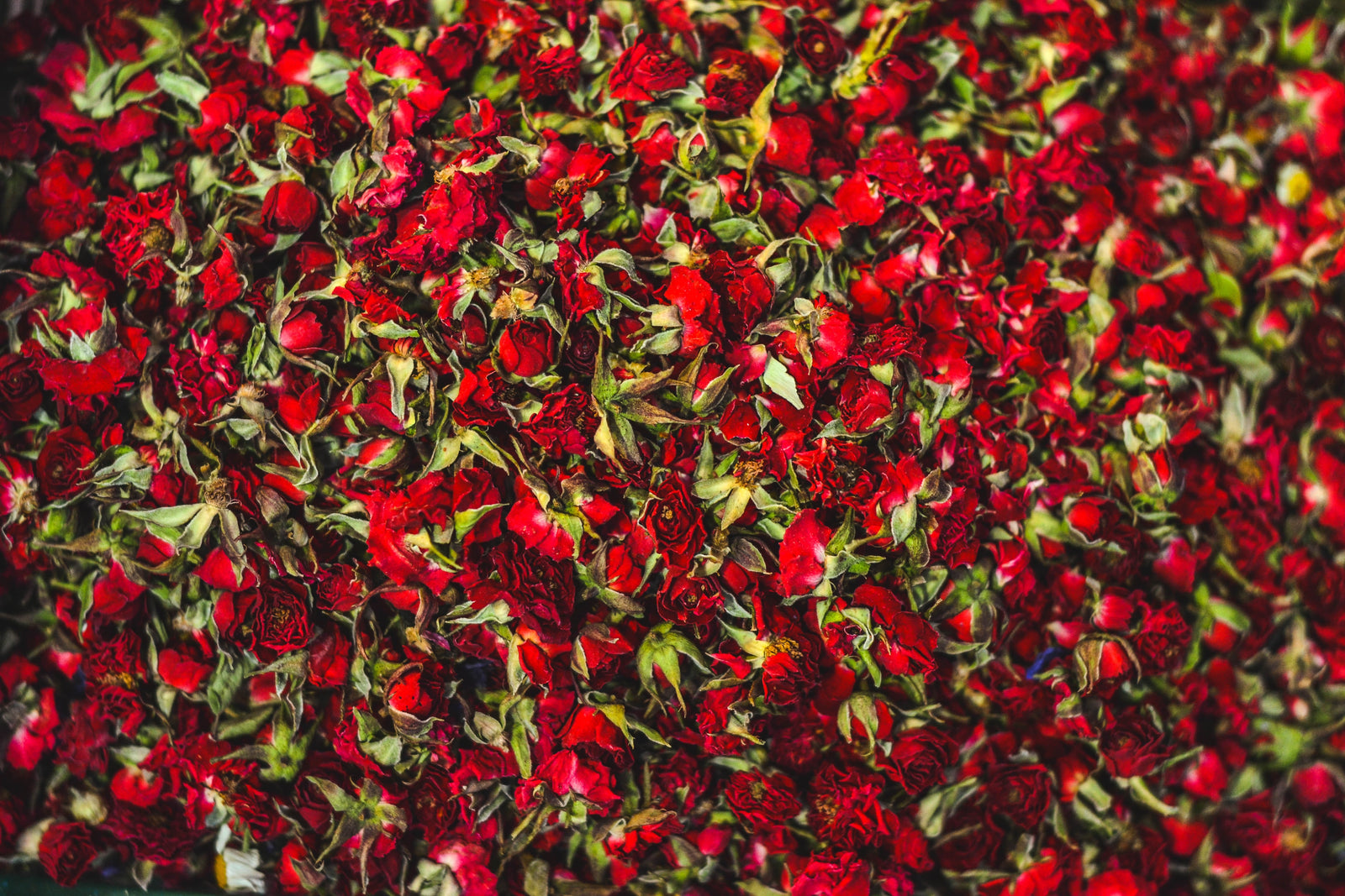 5 Insane Benefits of Dragon’s Blood in Skincare Products
